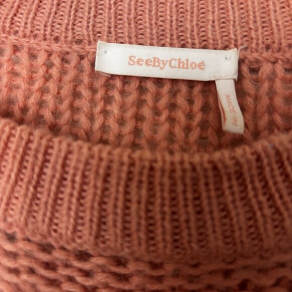 Alpaca Muted Clay See by Chloe Bell Sleeve Sweater - Picture 2 of 6